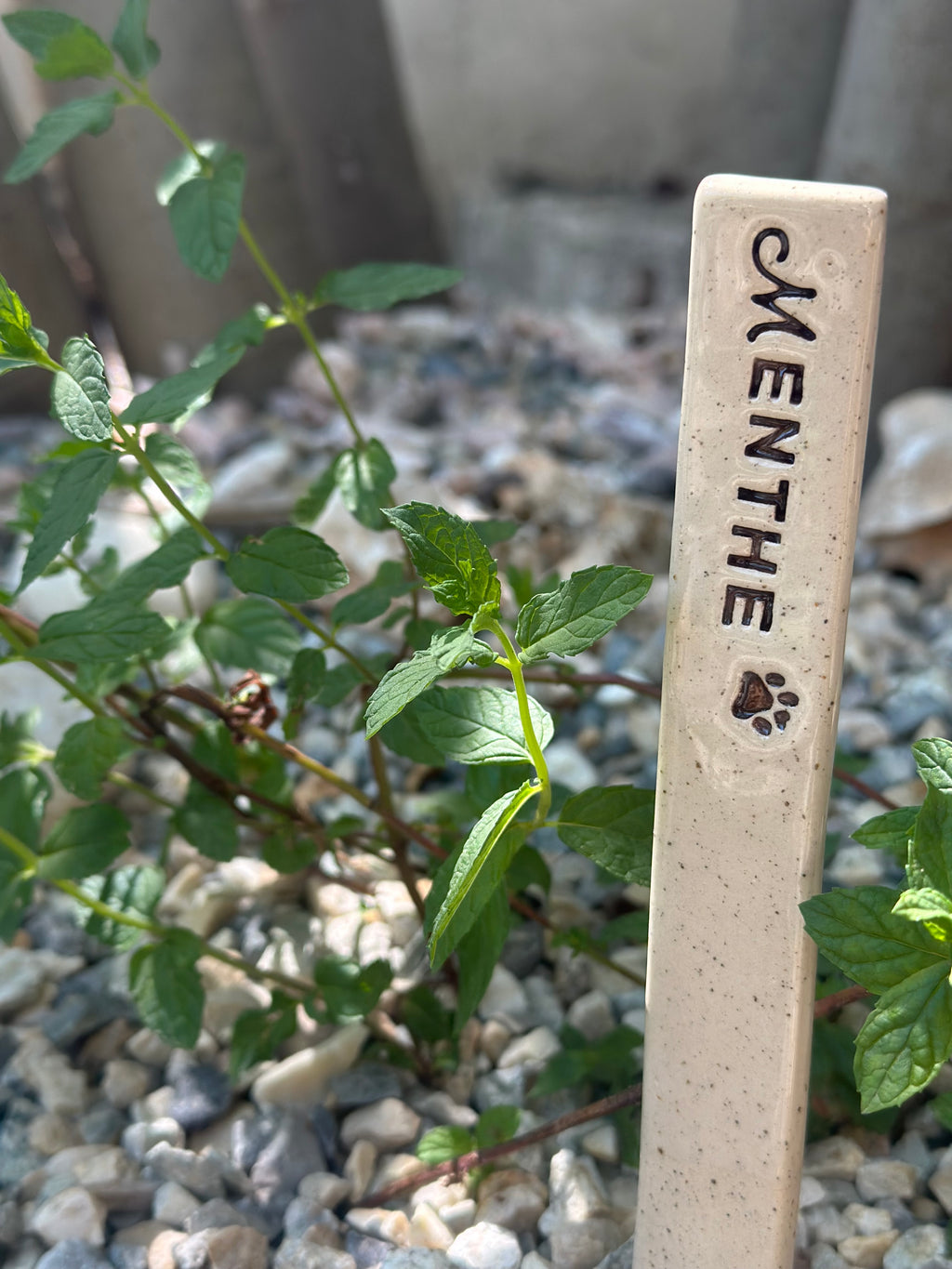 Étiquette de jardin personnalisée en céramique