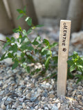 Étiquette de jardin personnalisée en céramique
