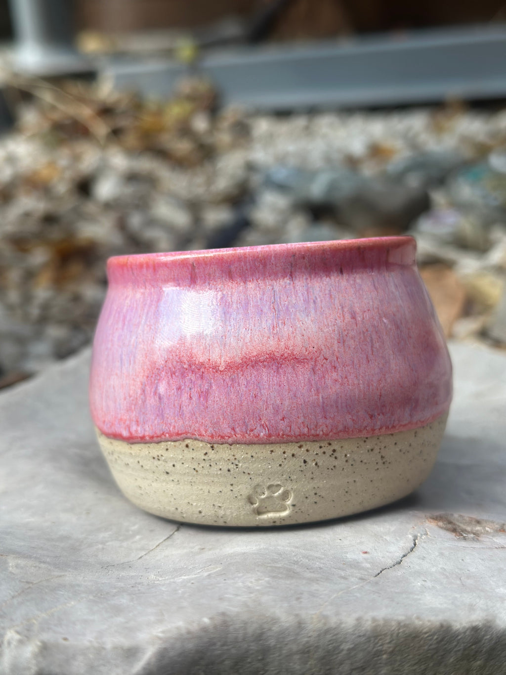 Tasse Pinkū 🎀 (2 modèles)